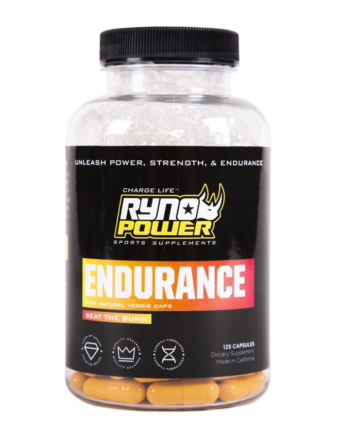 Ryno Power, Endurance 111 Motor